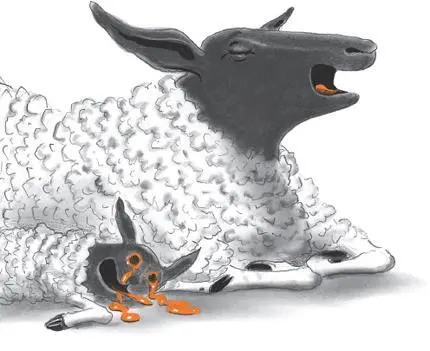 As for the ewe she was still deep in meditation her eyes clamped shut - фото 21