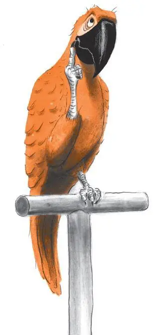 When asked why shed chosen to become a journalist the parrot was known to - фото 27