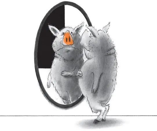 By the time he next ran into the parrot the pig had lost close to ten pounds - фото 28