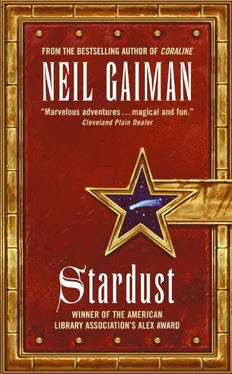 Neil Gaiman Stardust обложка книги