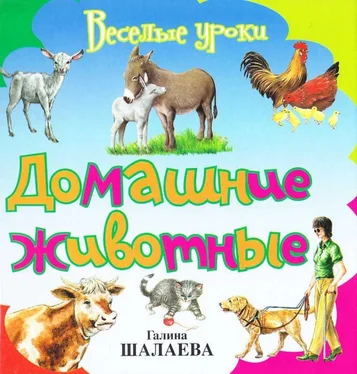 Галина Шалаева Домашние животные обложка книги