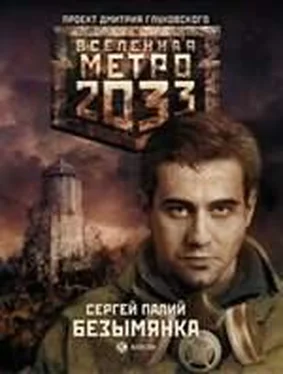 Сергей Палий Метро 2033: Безымянка