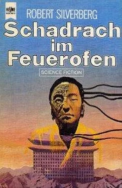 Robert Silverberg Schadrach im Feuerofen обложка книги