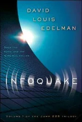 David Edelman - Infoquake