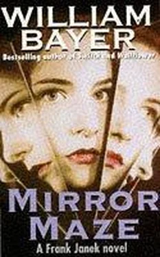 William Bayer Mirror Maze обложка книги