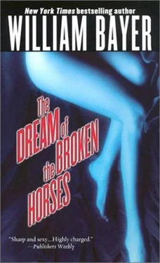 William Bayer The Dream of The Broken Horses обложка книги