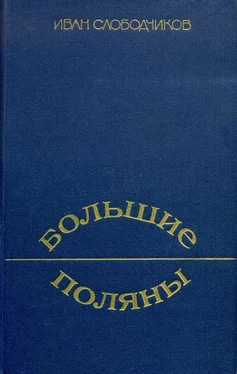 Иван Слободчиков Большие Поляны обложка книги