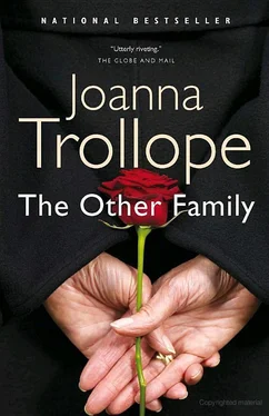 Joanna Trollope The Other Family обложка книги