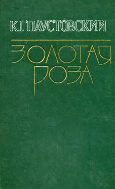 Константин Паустовский Золотая роза обложка книги