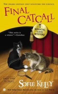 Софи Келли Final Catcall обложка книги