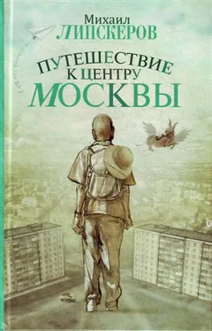 Михаил Липскеров Путешествие к центру Москвы обложка книги