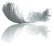 I looked around disoriented and shivered in my flimsy satin shift I - фото 7