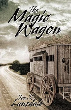 Joe Lansdale The Magic Wagon обложка книги