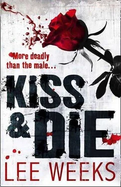 Lee Weeks Kiss and Die обложка книги