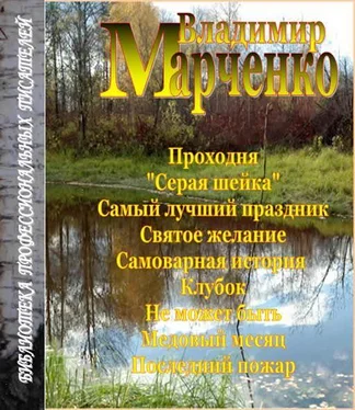 Владимир Марченко Последний пожар обложка книги