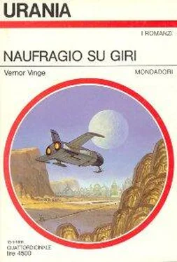 Vernor Vinge Naufragio su Giri обложка книги