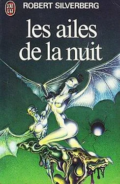 Robert Silverberg Les ailes de la nuit обложка книги