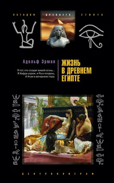 Адольф Эрман Жизнь в Древнем Египте обложка книги