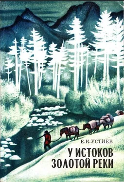 Е. Устиев У истоков Золотой реки обложка книги