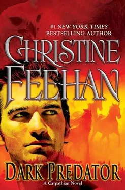 Christine Feehan Dark Predator обложка книги