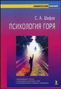 Сергей Шефов Психология горя обложка книги