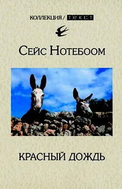 Сейс Нотебоом Красный дождь обложка книги