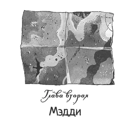 Когда Майло отнёс багаж миссис Геревард поселил Клем на пятом этаже и наконец - фото 6