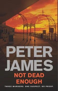 Peter James Not Dead Enough обложка книги