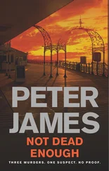 Peter James - Not Dead Enough