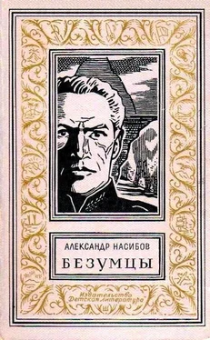 Александр Насибов Безумцы [Роман] обложка книги