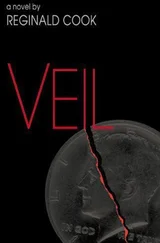 Reginald Cook - Veil