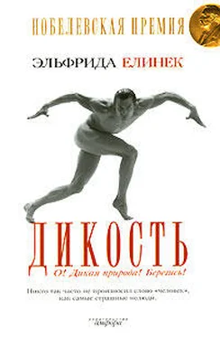 Эльфрида Елинек Дикость. О! Дикая природа! Берегись! обложка книги