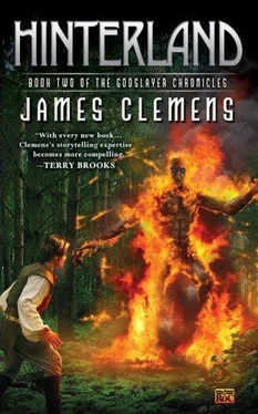 James Clemens Hinterland обложка книги