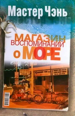 Мастер Чэнь Магазин воспоминаний о море (сборник) обложка книги