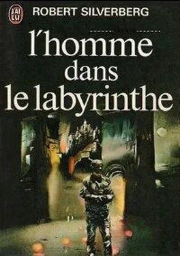 Robert Silverberg L'homme dans le labyrinthe обложка книги