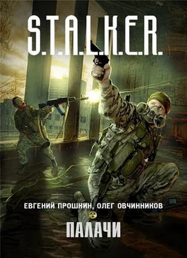 Евгений Прошкин S.T.A.L.K.E.R. Палачи обложка книги