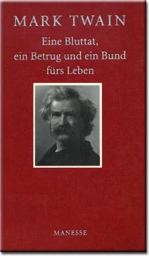 Mark Twain Eine Bluttat, ein Betrug un ein Bund fürs Leben обложка книги