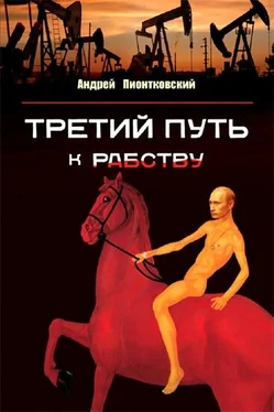 Андрей Пионтковский Третий путь к рабству. О причинах путинизма и путях выхода обложка книги