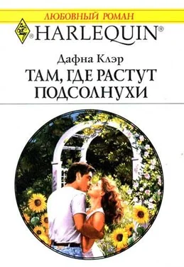 Дафна Клэр Там, где растут подсолнухи обложка книги