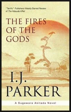 I Parker The Fires of the Gods обложка книги