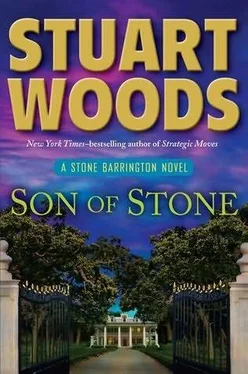 Stuart Woods Son of Stone обложка книги