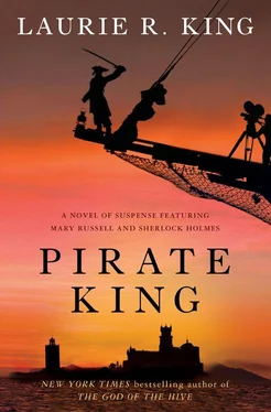 Laurie King Pirate King: A novel of suspense featuring Mary Russell and Sherlock Holmes обложка книги