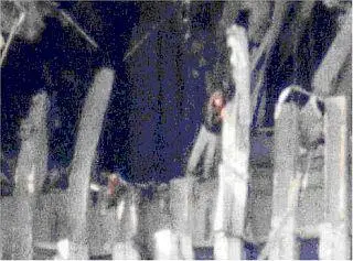 Кроме того на этой фотографии хорошо видна женщина в отчаянии держащаяся за - фото 55
