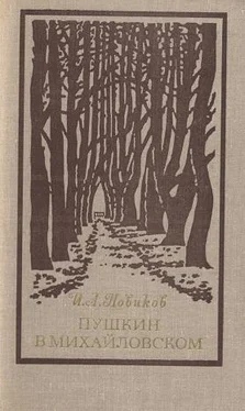 Иван Новиков Пушкин в Михайловском обложка книги