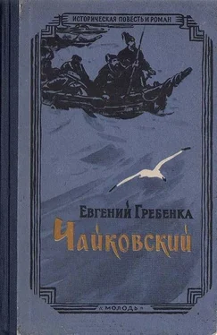 Евгений Гребёнка Чайковский обложка книги