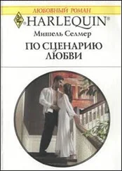 Мишель Селмер - По сценарию любви