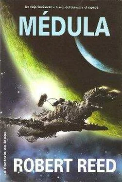 Robert Reed Médula обложка книги