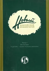 Дональд Карсон - Новый Библейский Комментарий Часть 2 (Ветхий Завет)