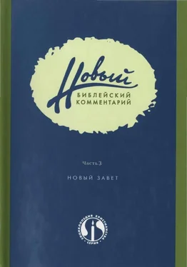 Дональд Карсон Новый Библейский Комментарий Часть 3 (Новый Завет) обложка книги