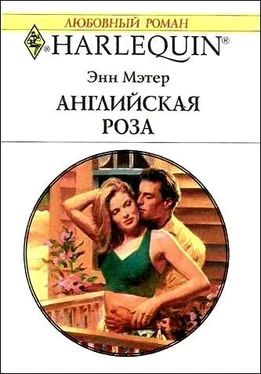 Энн Мэтер Английская роза обложка книги